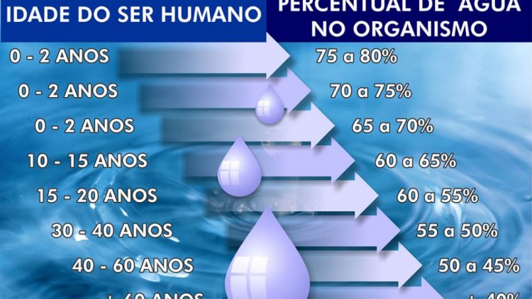 História do Dia Mundial da Água