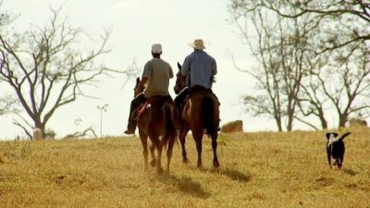 Produtores rurais investem cada vez mais em seguros