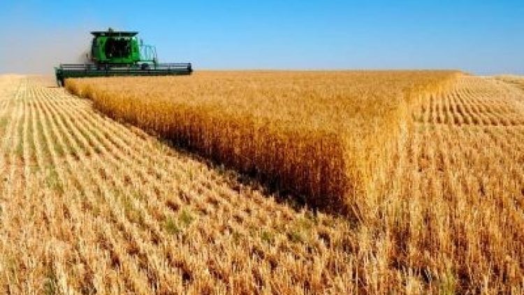 CPES coloca em debate riscos agropecuários no Brasil