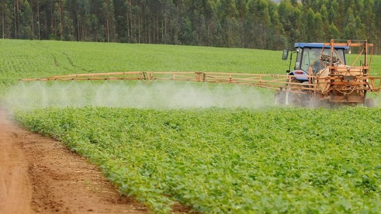 Governo libera mais R$ 90 mi para seguro rural do 2º semestre