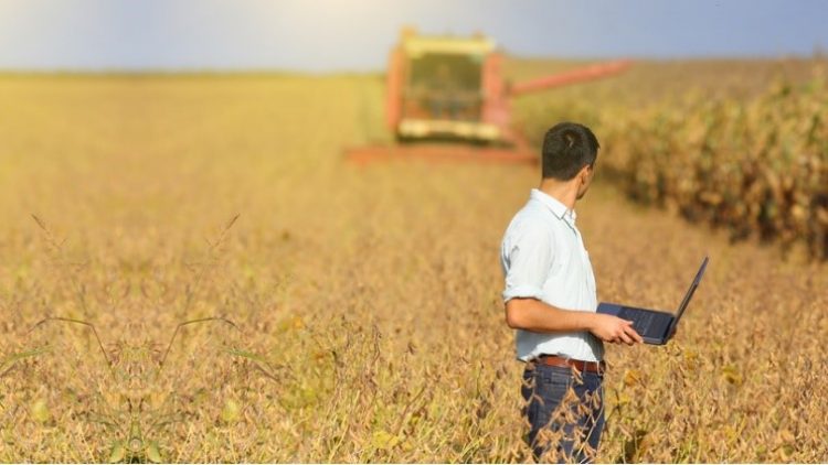 Seguros agrícolas já estão disponíveis