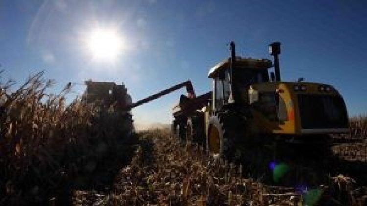 USDA defende seguro colheita nos EUA, com uma ‘variedade de ações inovadoras’