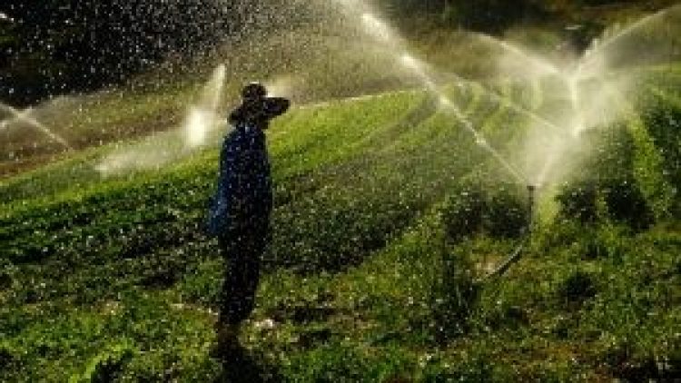 Eventos do agronegócio gaúcho pautam tema do seguro rural