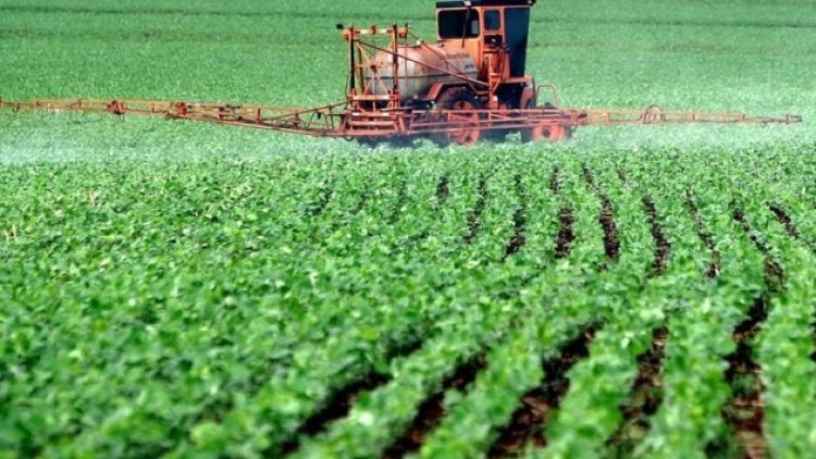 O que está mal nos seguros agrícolas