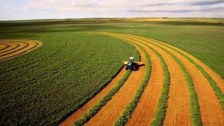 Santander mira agronegócio e propõe novo modelo de seguro