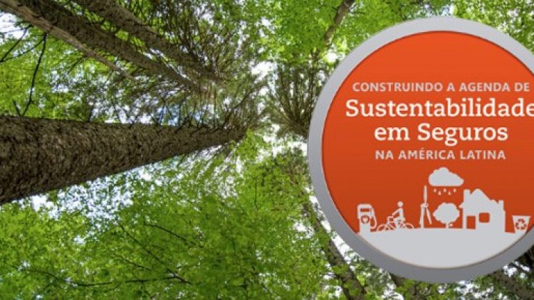 Construindo a agenda de sustentabilidade na América Latina