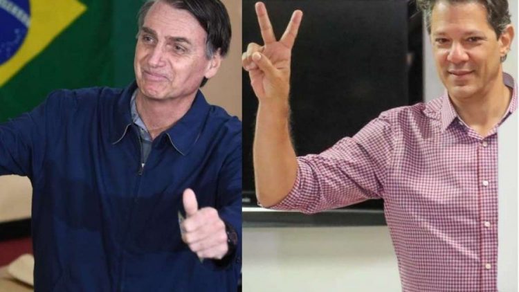 Bolsonaro e Haddad estão com propostas do setor de seguros para debate