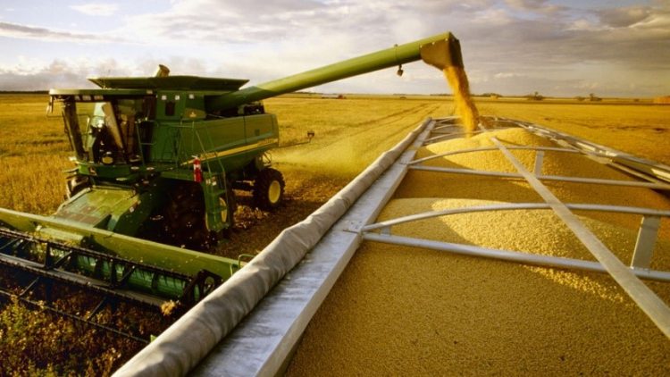 Seguro na agricultura brasileira