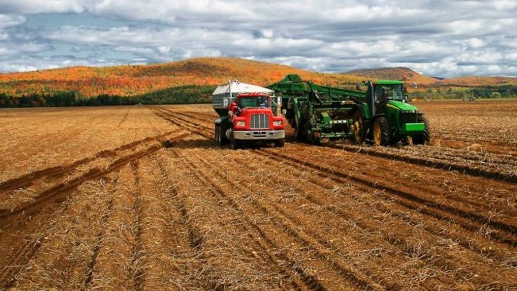 Ministério da Agricultura incentiva contratação do seguro rural no Norte e Nordeste