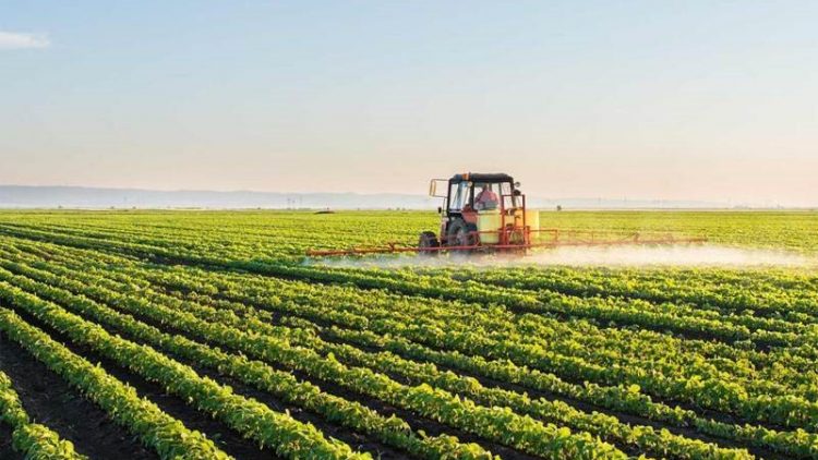 Seguros para o agronegócio trazem mais vantagens aos produtores